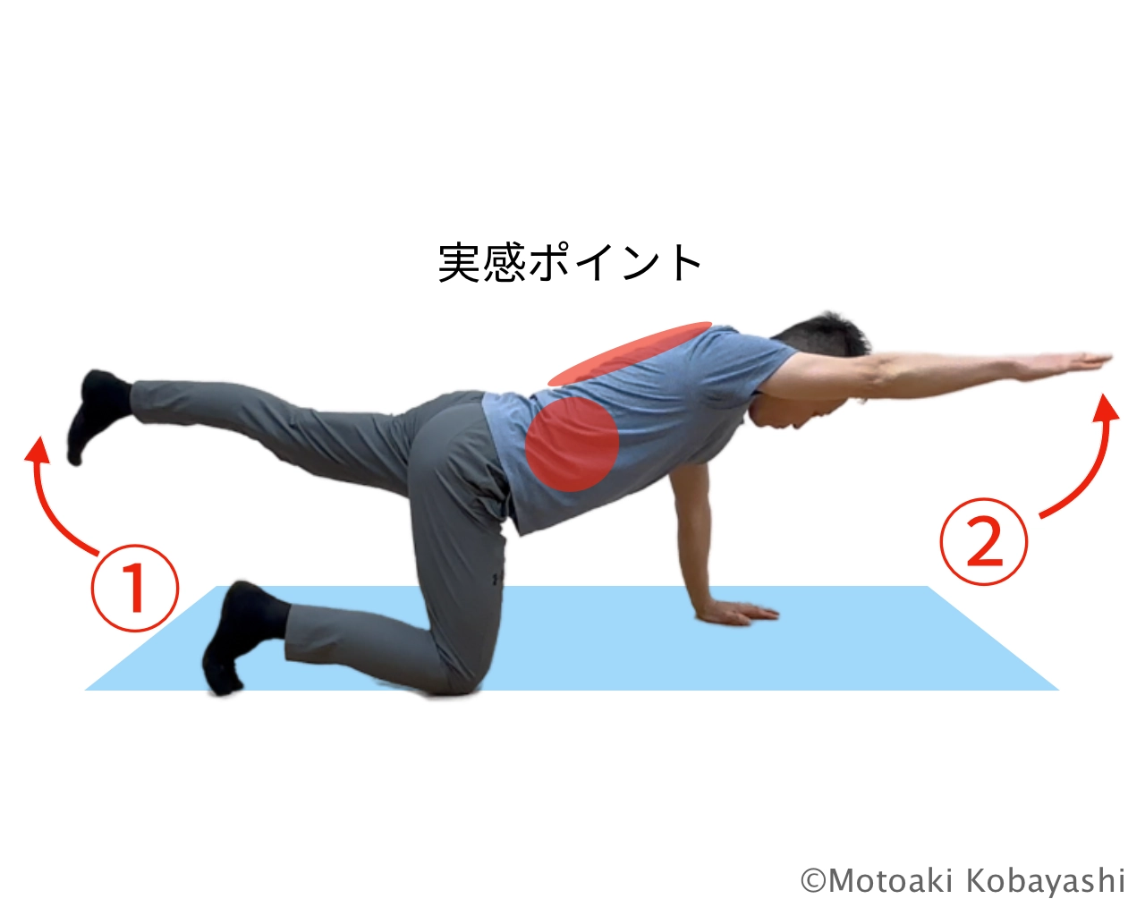 ハンドニー　体幹トレーニング
